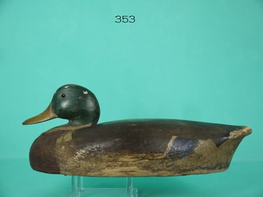 MALLARD DRAKE, WILDFOWLER, QUOGUE