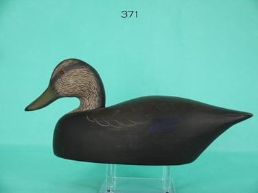 BLACK DUCK, STONEY POINT DECOYS