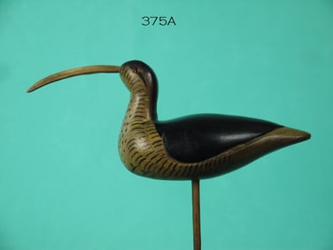 MINIATURE CURLEW