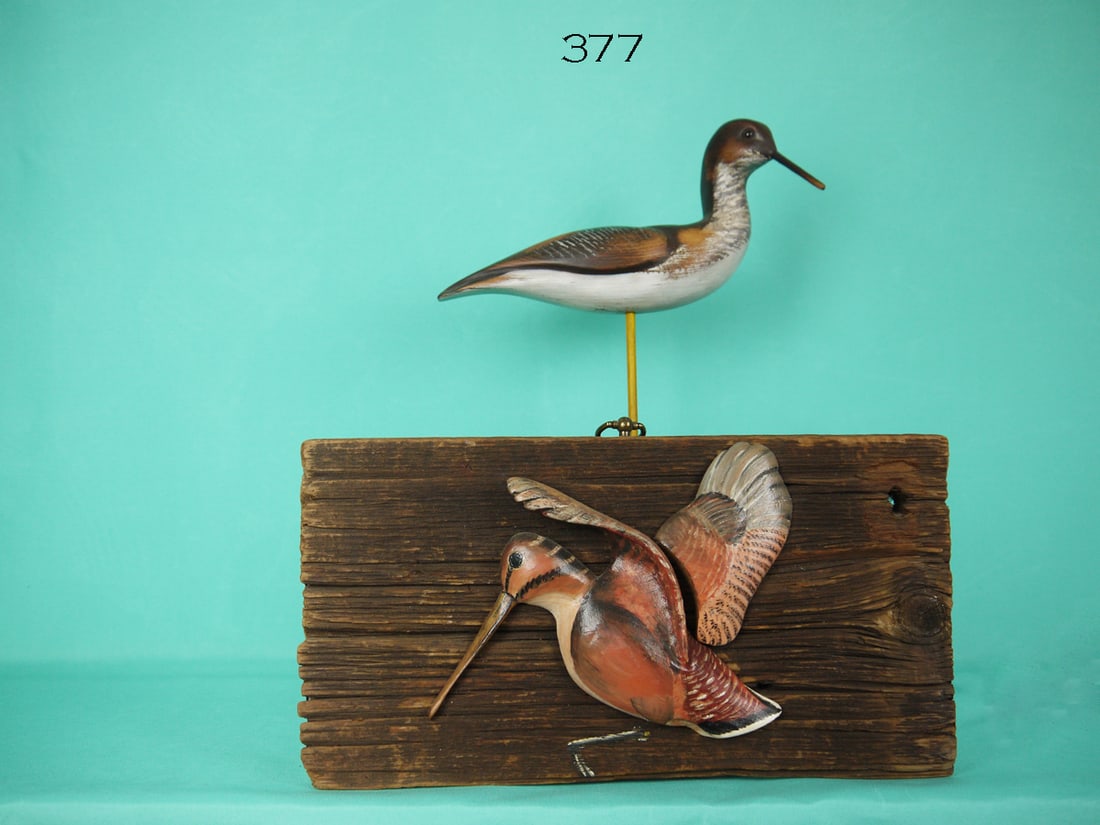 YELLOWLEGS/WOODCOCK (1 of 1)