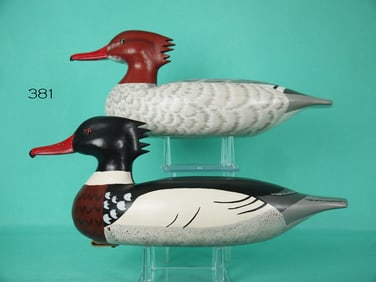 RED-BREASTED MERGANSER PAIR, L.W.H.