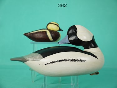 BUFFLEHEAD DRAKE, L. HOLLOWAY/RUDDY DUCK HEN, D. SMITH