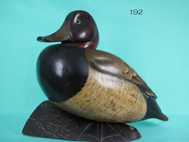 REDHEAD DRAKE, T. TABER