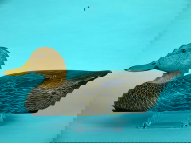 BLACK DUCK, WILDFOWLER
