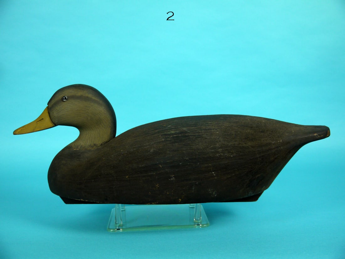 BLACK DUCK, WILDFOWLER (1 of 4)