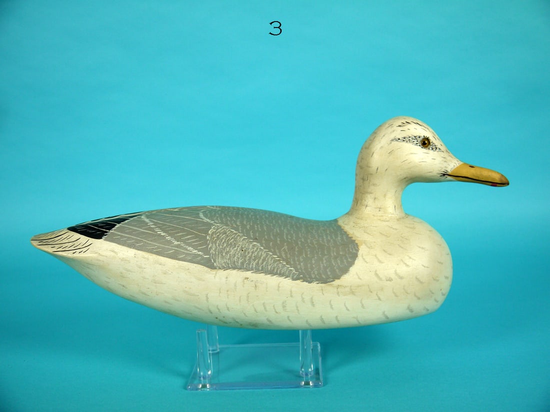 SEAGULL, WILDFOWLER (1 of 4)