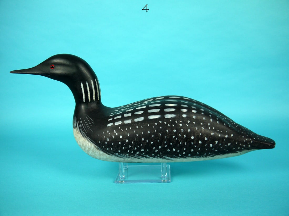 COMMON LOON, WILDFOWLER (1 of 4)
