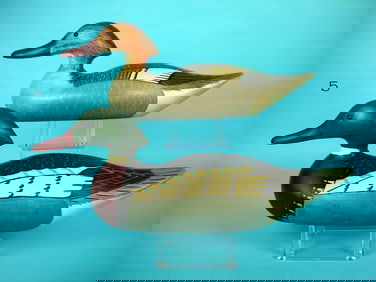 RED-BREASTED MERGANSER PAIR, WILDFOWLER