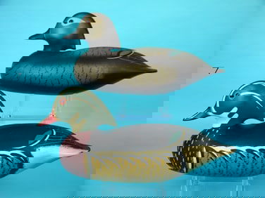 WOOD DUCK PAIR, WILDFOWLER