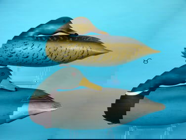 SLEEPING MALLARD PAIR, WILDFOWLER
