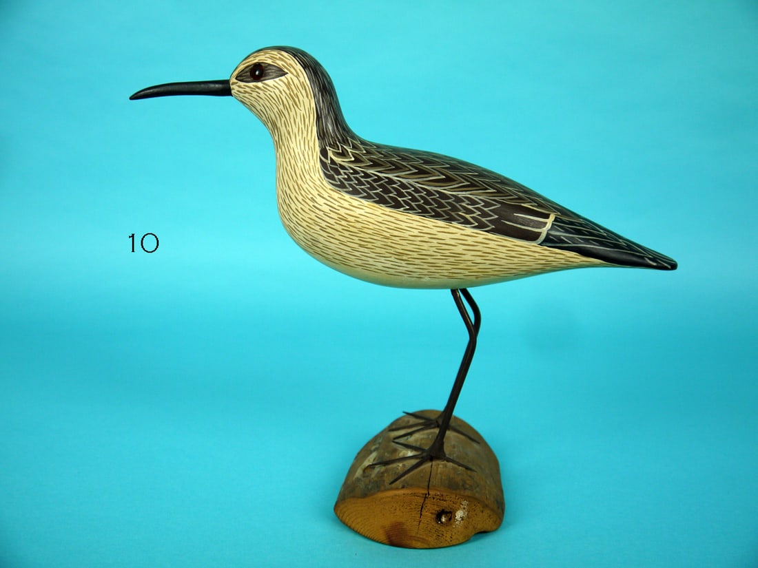 DUNLIN, WILDFOWLER: FINE DUNLIN by the Wildfowler Decoy Company, Pt. Pleasant, NJ. Excellent original paint and structural condition. Very detailed painted feather work overall by Dottie Clayton. Retains glass eyes. Moun