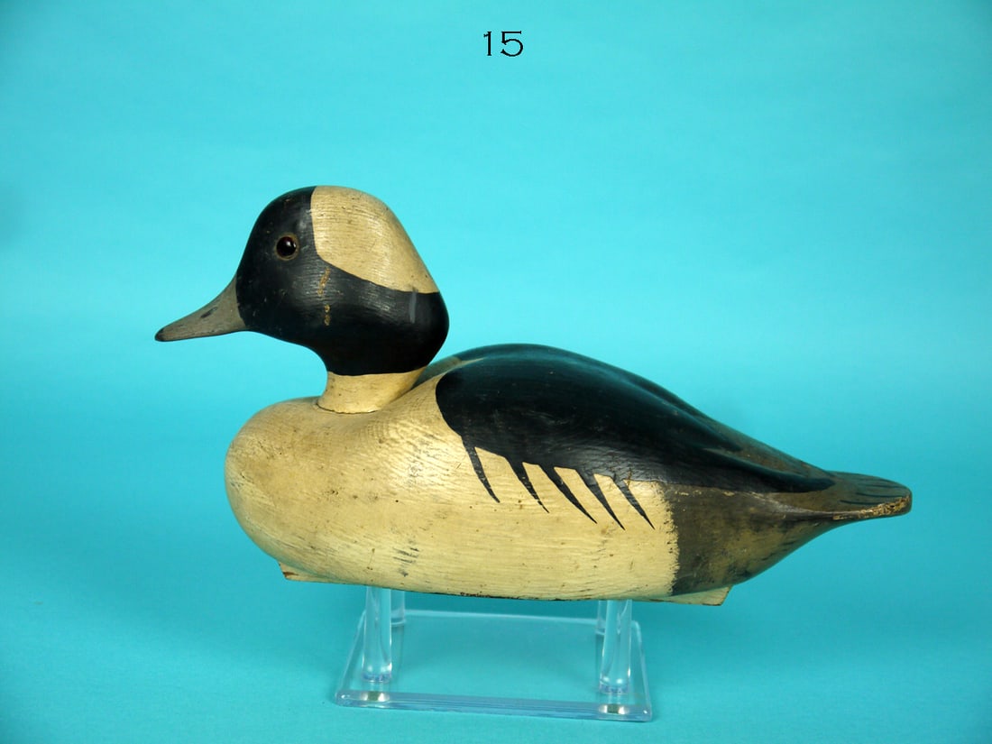 BUFFLEHEAD DRAKE, WILDFOWLER (1 of 4)