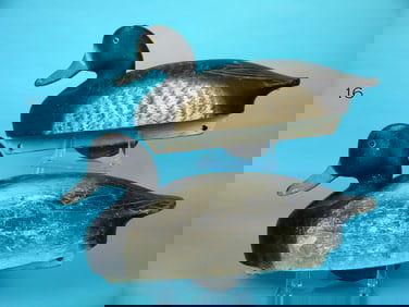 BLUEBILL PAIR, WILDFOWLER