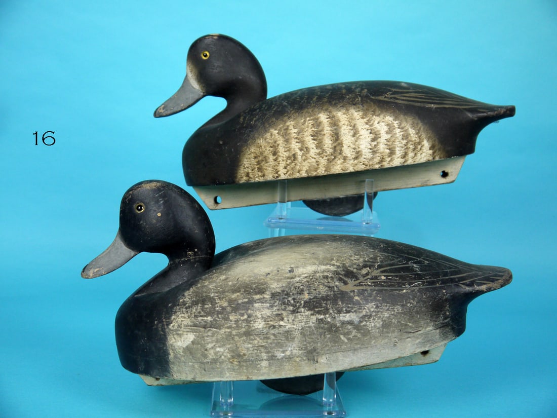 BLUEBILL PAIR, WILDFOWLER (1 of 4)