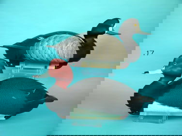 REDHEAD DRAKE/BLUEBILL HEN, C. ALLSOPP