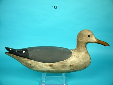 GULL, B. BIEBER