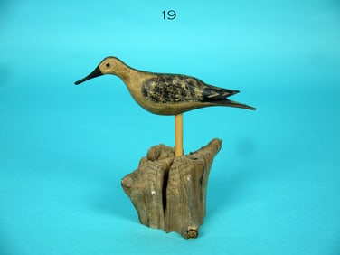 MINIATURE YELLOWLEGS, B. BIEBER