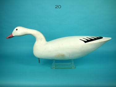 SNOW GOOSE, A. BIRDSALL