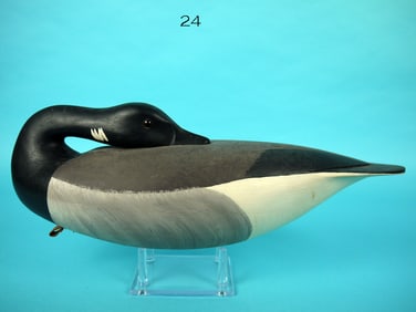 SLEEPING BRANT, H. CONKLIN