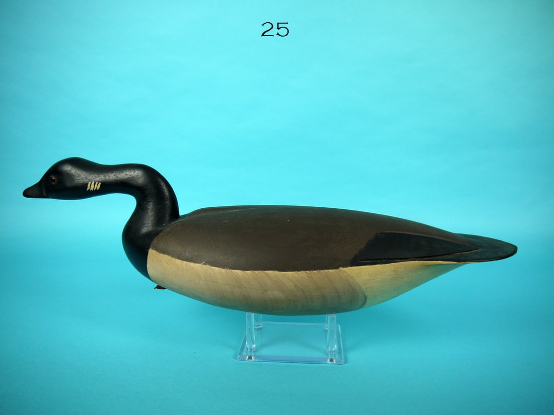 SWIMMING BRANT, H. CONKLIN (1 of 4)