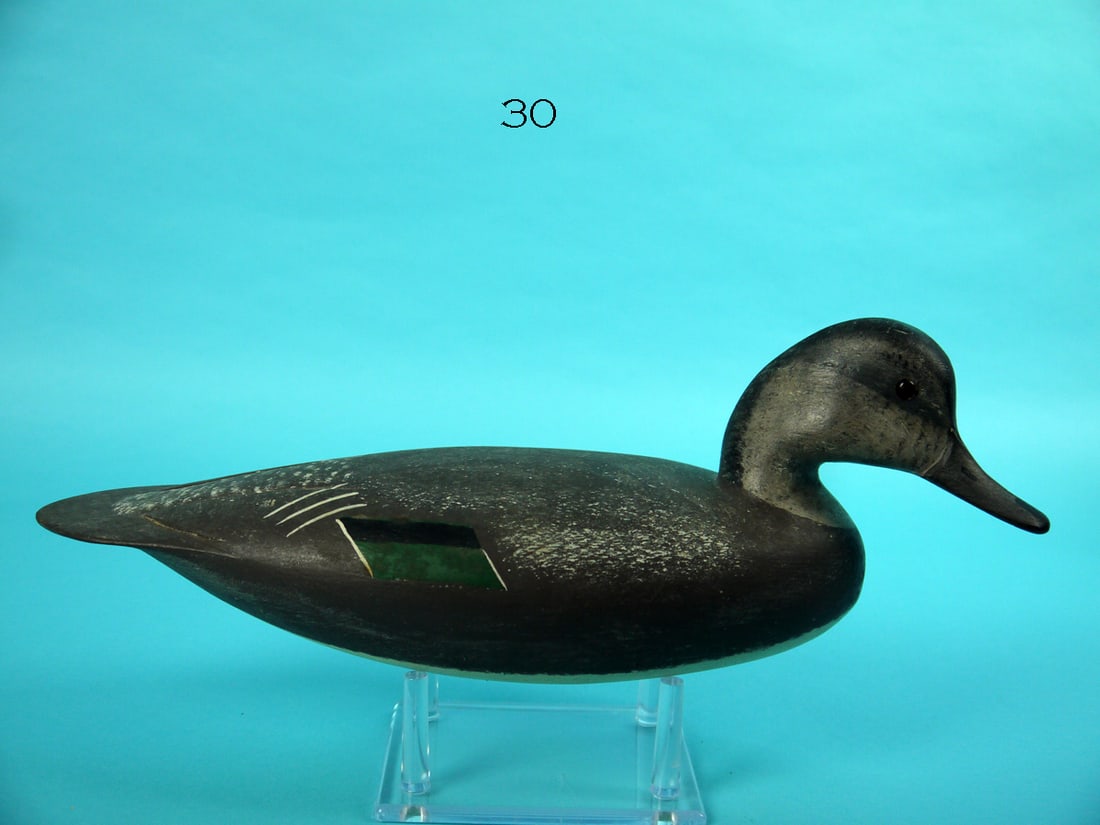 GREEN WING TEAL HEN, H. CONKLIN (1 of 4)