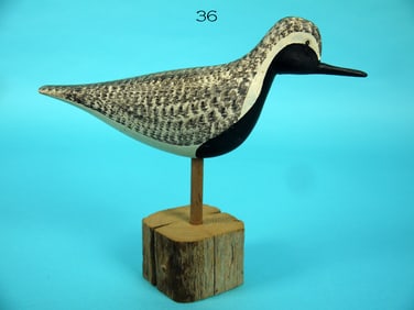 BLACK-BELLIED PLOVER, H. CONKLIN