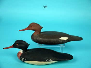 MINIATURE RED-BREASTED MERGANSERS, H. CONKLIN