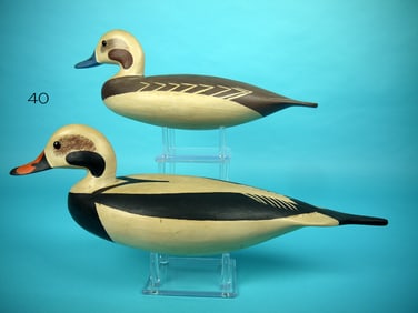 LONG-TAILED PAIR, H. CONKLIN