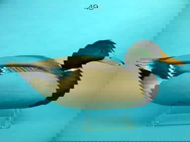 OVERSIZE MALLARD DRAKE, W. CRANMER