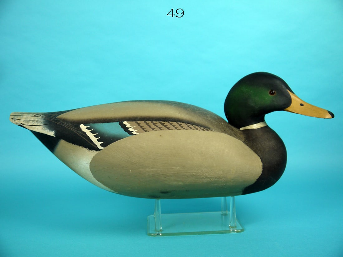 OVERSIZE MALLARD DRAKE, W. CRANMER (1 of 4)