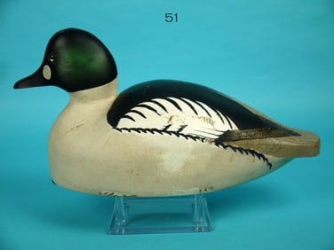 GOLDENEYE DRAKE, W. CRANMER