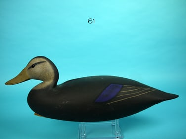 BLACK DUCK, M. FORD