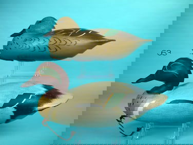 GREEN WING TEAL PAIR, D. HALL