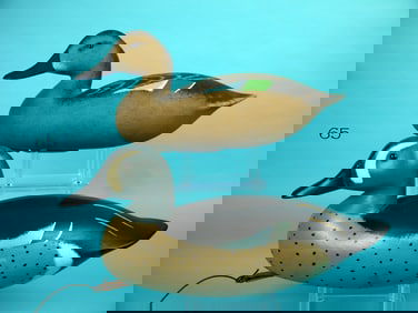 BLUE WING TEAL PAIR, D. HALL