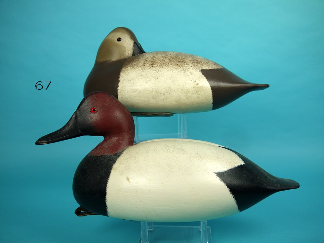 CANVASBACK PAIR, D. HALL (1 of 4)