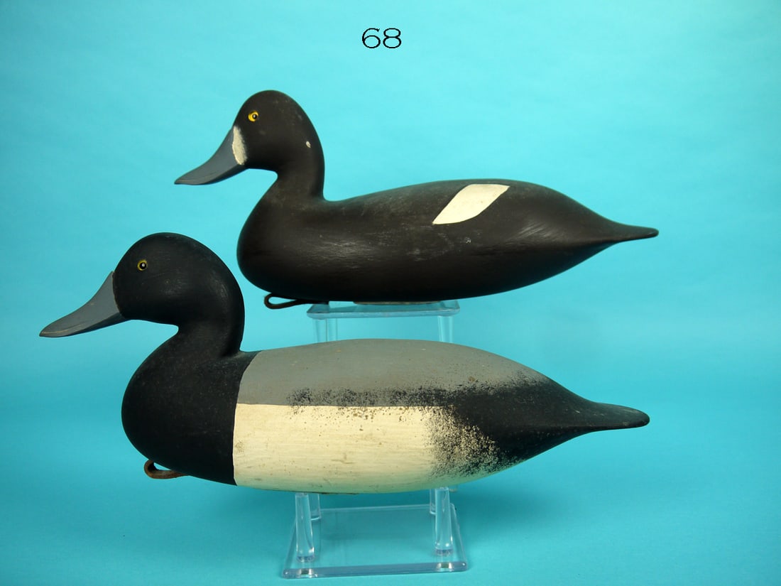 BROADBILL PAIR, D. HALL (1 of 4)