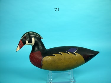 WOOD DUCK DRAKE, J. HAMILTON