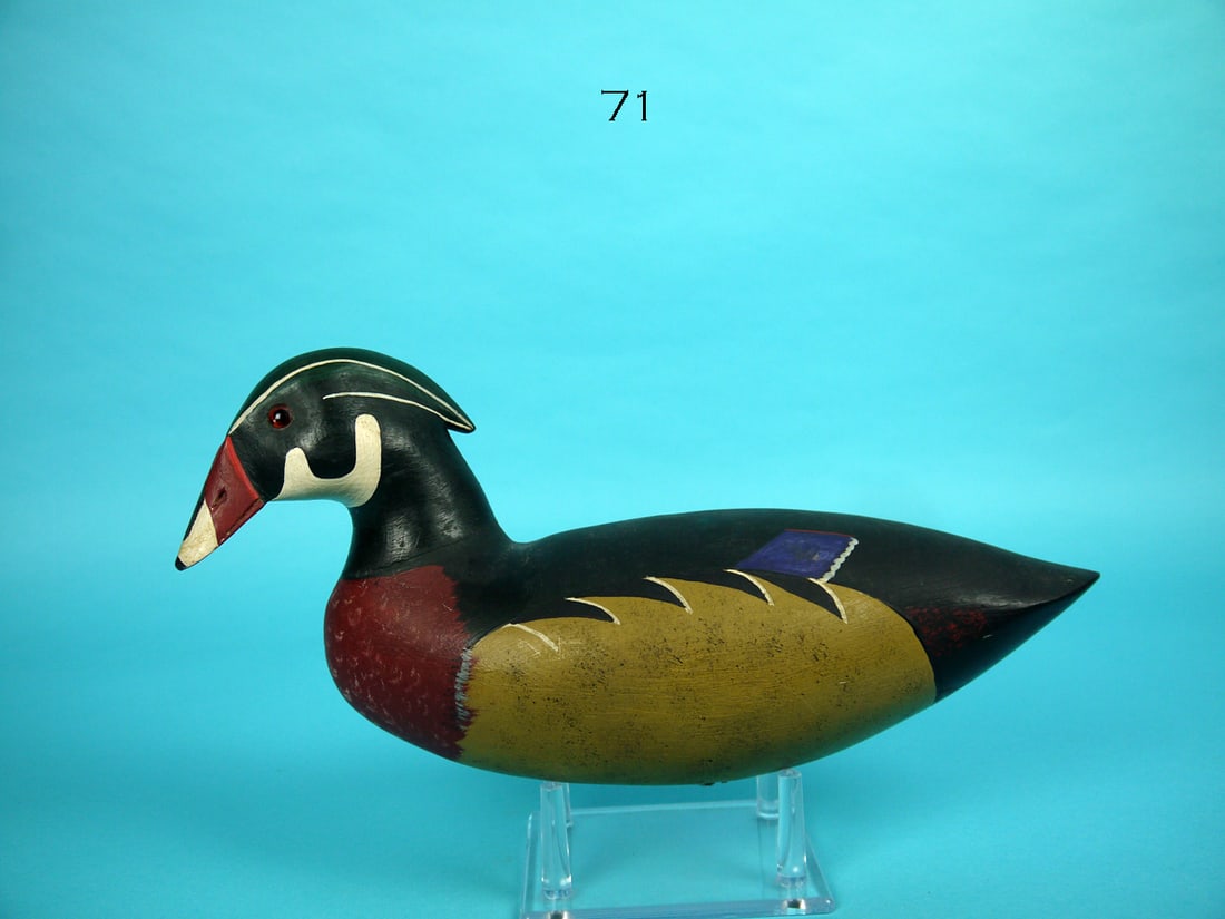 WOOD DUCK DRAKE, J. HAMILTON (1 of 4)