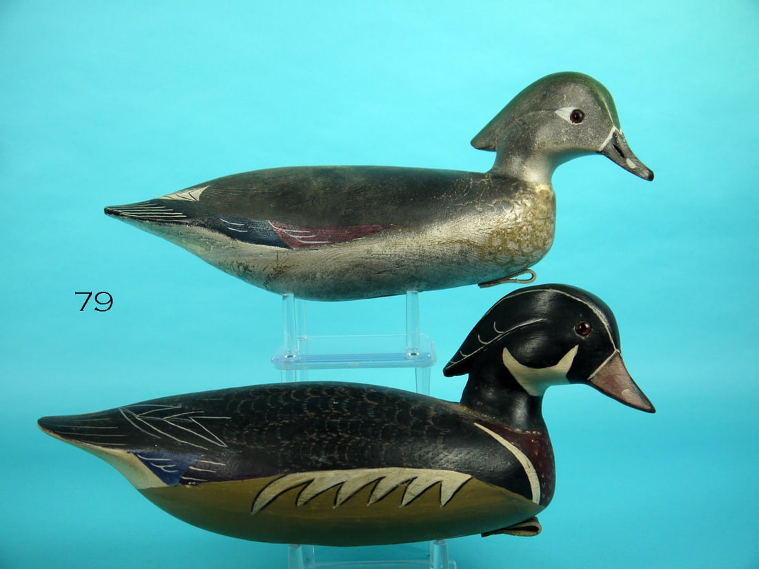 WOOD DUCK DRAKE, J. HAMILTON (1 of 4)