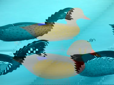 WOOD DUCK PAIR, J. HAMILTON