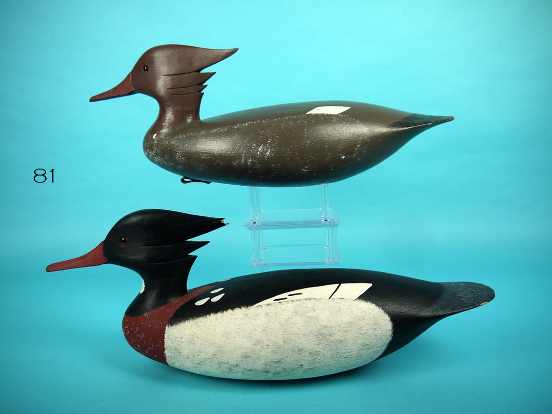 RED-BREASTED MERGANSER PAIR, J. HAMILTON (1 of 4)