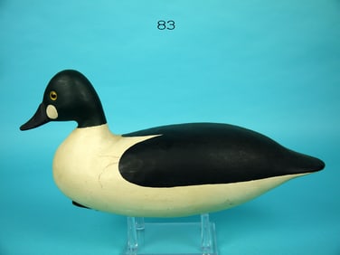 GOLDENEYE DRAKE, R. STEVENS