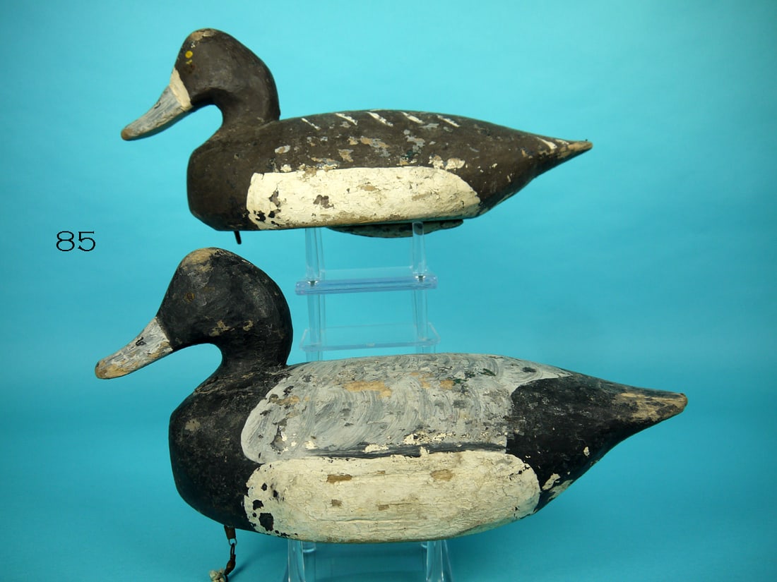 BLUEBILL PAIR, M. HANCOCK (1 of 4)