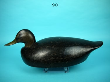 BLACK DUCK, K HARRIS