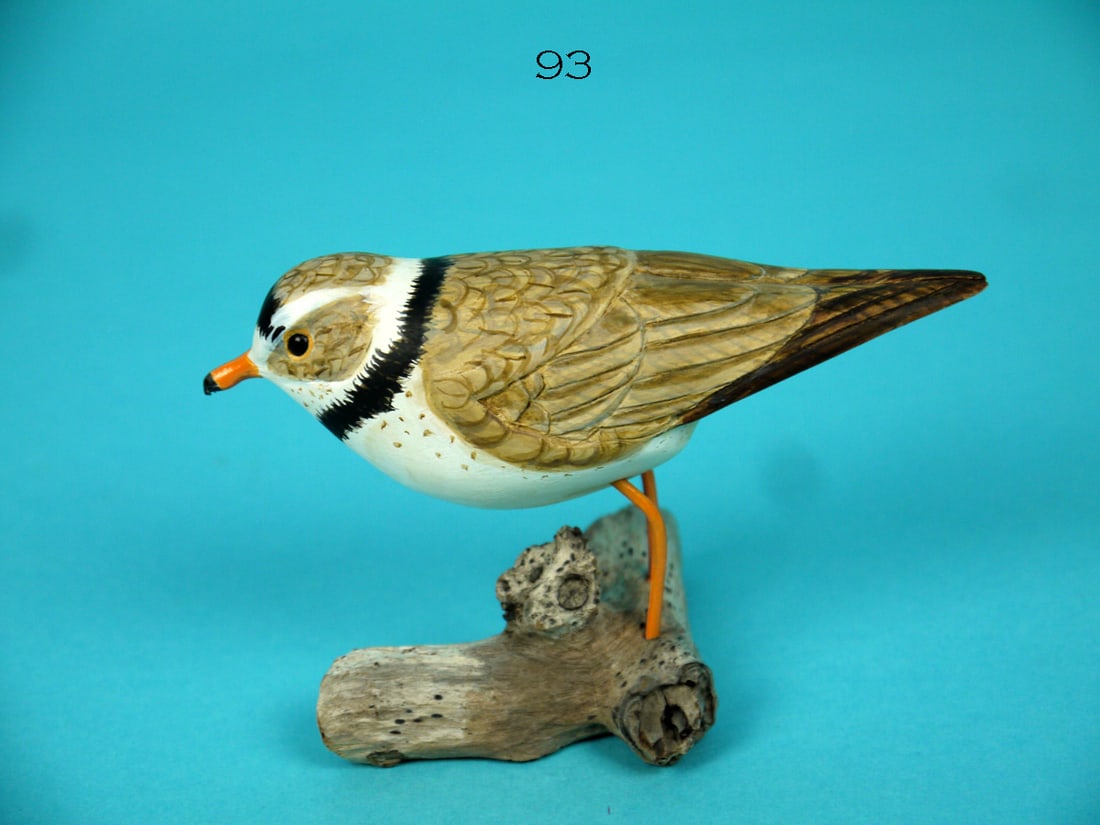 PIPING PLOVER,  J. WOODWORTH (1 of 3)