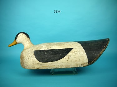 EIDER, MAINE