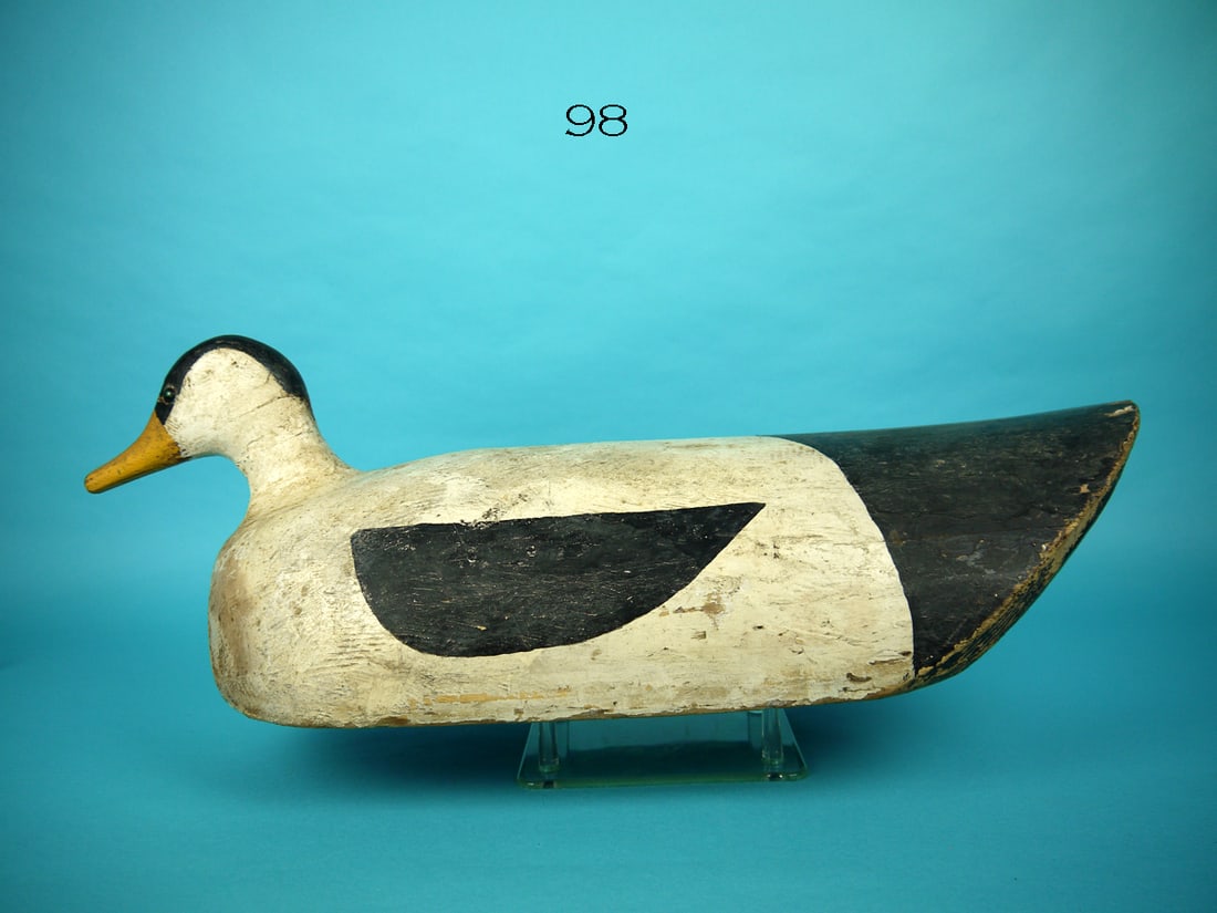 EIDER, MAINE (1 of 4)