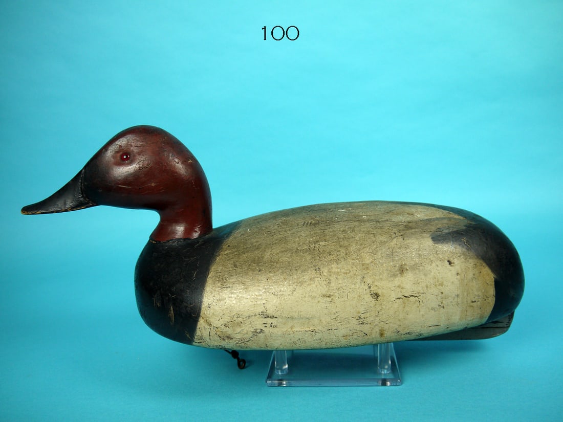 CANVASBACK DRAKE, D. SCRIVENS (1 of 4)