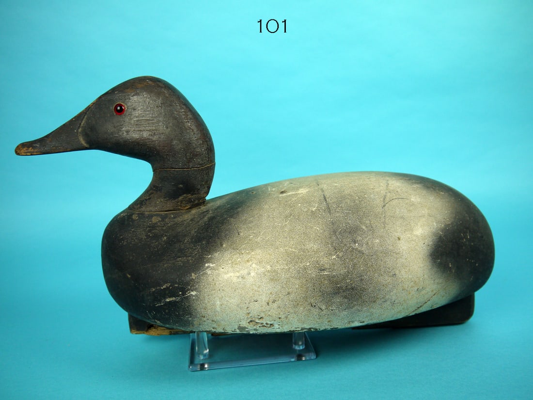 CANVASBACK DRAKE, MICHIGAN (1 of 4)