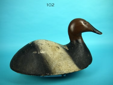 CANVASBACK DRAKE, MICHIGAN